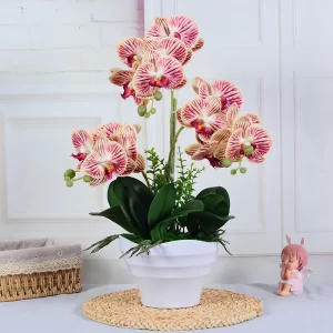 3d Feel White Phalaenopsis Artificial Flower Purple Artificial Flower Bonsai Floriculture Material Home Decoration Floriculture