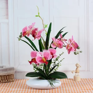 Simulation Of Phalaenopsis Oval Ceramic Potted Flowers Floral Handfeel Simulation Of Green Plants Bonsai Suit Ornaments Dining T